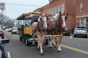Photograph of horses pulling a carriage